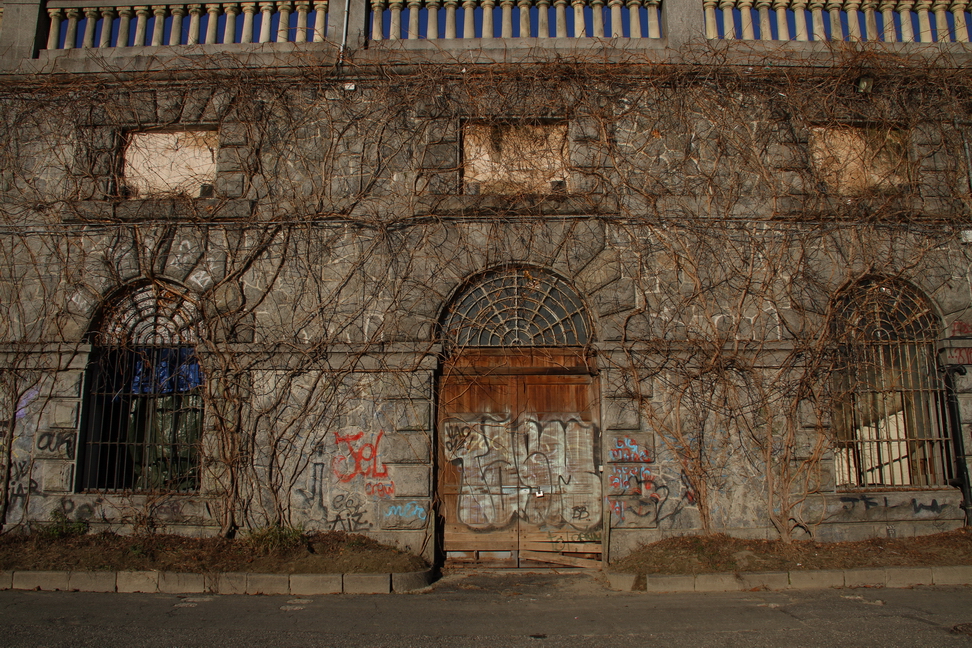 Curiosita'_04.JPG - Muro di rampicanti