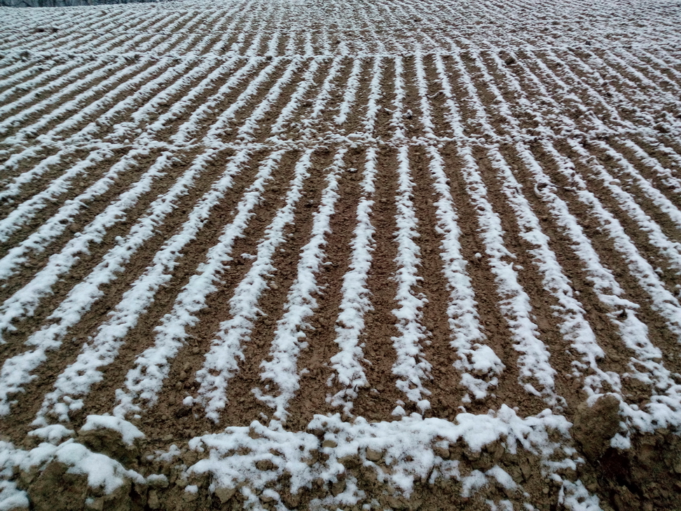 Curiosita'_27.jpg - Solchi di neve