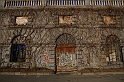 Curiosita'_04