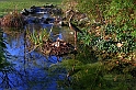Curiosita'_11