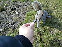 Curiosita'_42