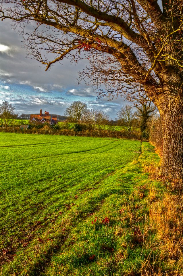 43.jpg - Paesaggi di campagna sono il preludio…