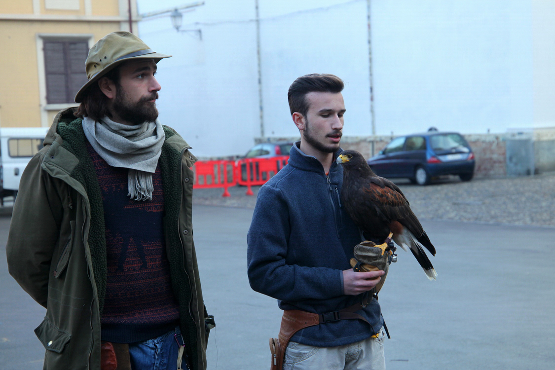 Falconeria_48.JPG