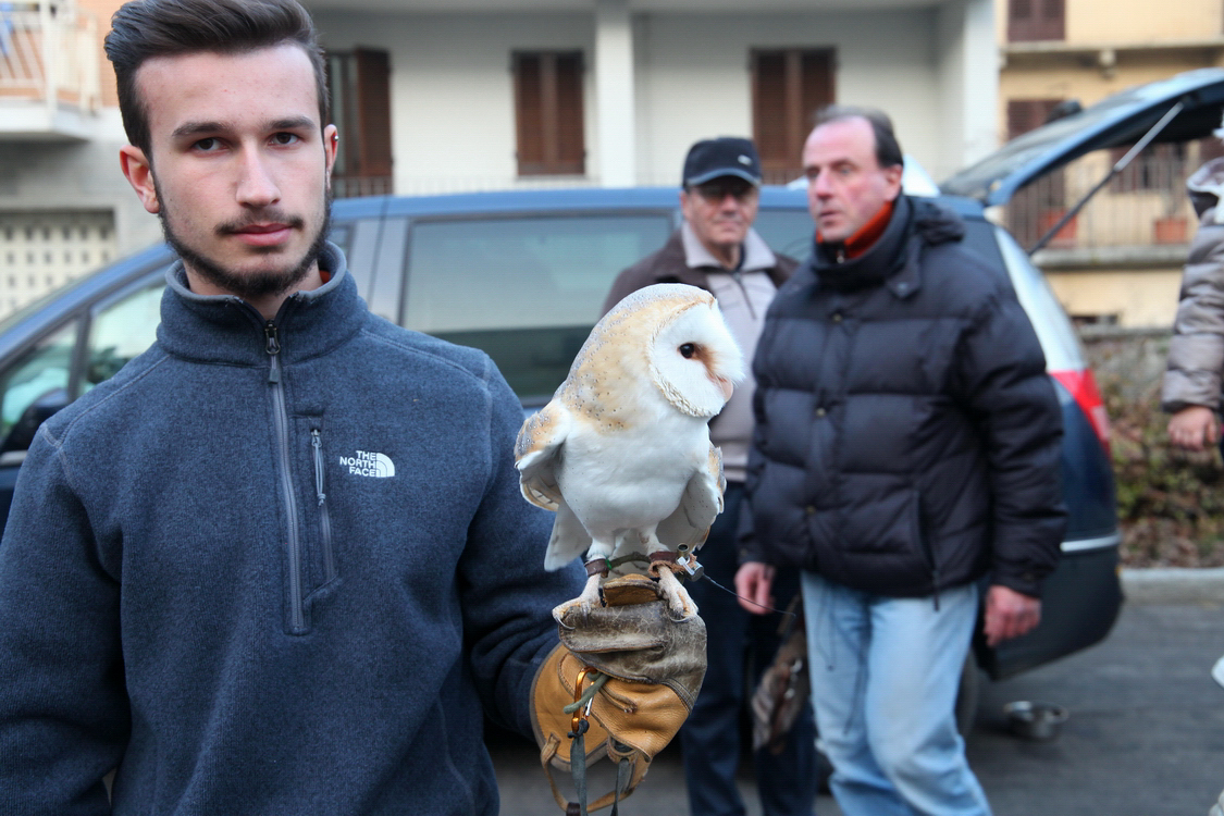 Falconeria_77.JPG