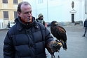 Falconeria_52