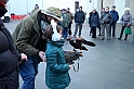 Falconeria_55