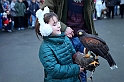 Falconeria_57