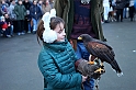 Falconeria_58