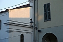 Falconeria_59