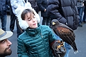 Falconeria_60