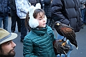 Falconeria_61