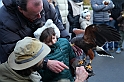 Falconeria_63