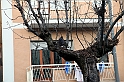 Falconeria_64