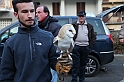 Falconeria_78