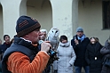 Falconeria_83