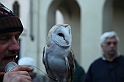 Falconeria_86