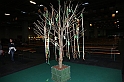 FestivalIrlandese_01