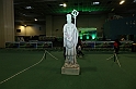 FestivalIrlandese_07