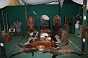FestivalIrlandese_16