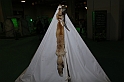 FestivalIrlandese_35