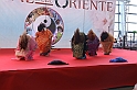 FestivalOriente_129