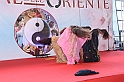 FestivalOriente_131