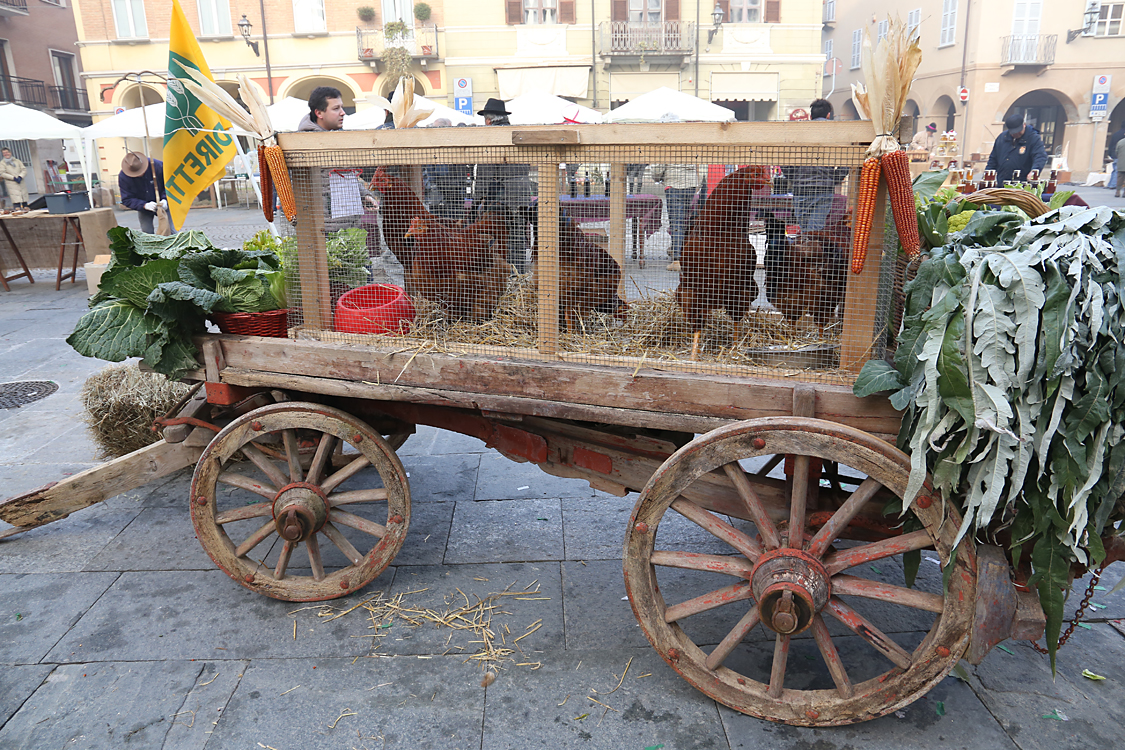 FieraDelCappone_002.jpg