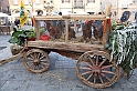FieraDelCappone_002