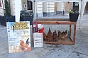 FieraDelCappone_005