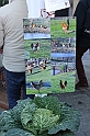 FieraDelCappone_054