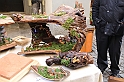 FieraDelCappone_320