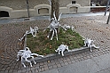 FiloLungoFilo_017