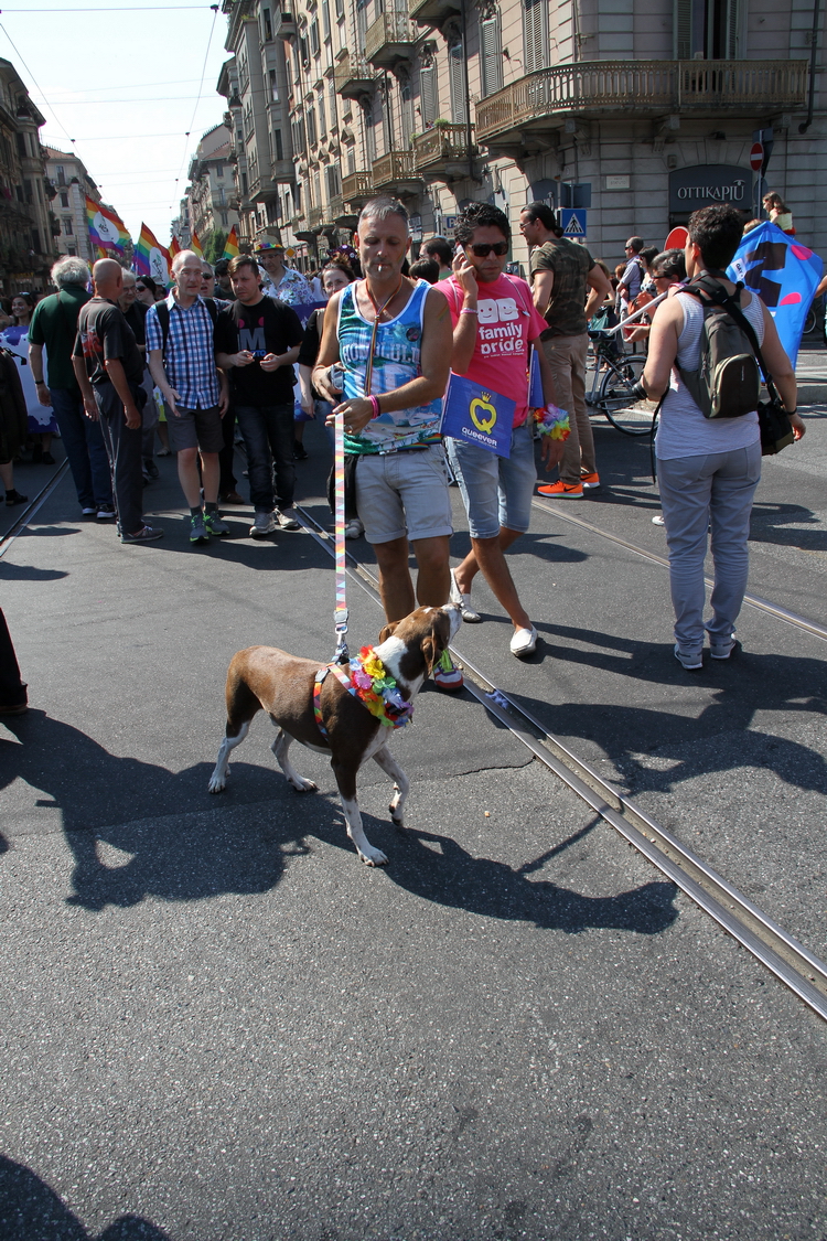 Gaypride2015_070.JPG - Torino 27 Giugno 2015 Gay Pride - La sfilata...