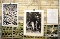 GiornataDellaMemoria_02