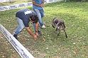 Govone2016_046