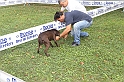 Govone2016_069