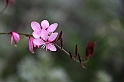 InAutunno_64
