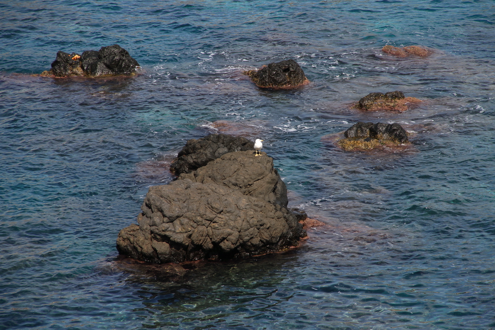 Sicilia_009.JPG - popolato di scogli...