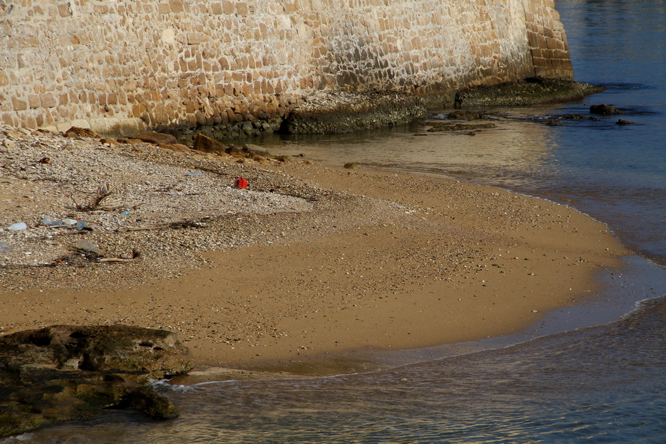Sicilia_112.JPG - che solitarie si immergono nell'acqua...