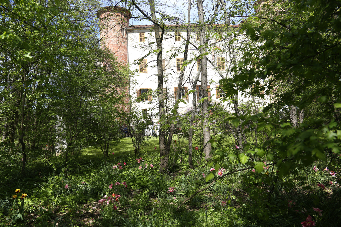 MesserTulipano_012.jpg