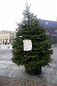 Natale_24