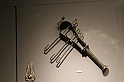NiloAPompei_061