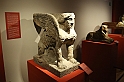NiloAPompei_065