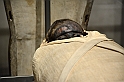 NuovoMuseoEgizio_144