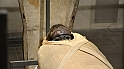 NuovoMuseoEgizio_146