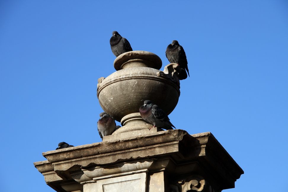 Nuvole_021.JPG - Torino - Palazzo Reale - Manica Nuova - Via XX Settembre - Vaso dei colombi