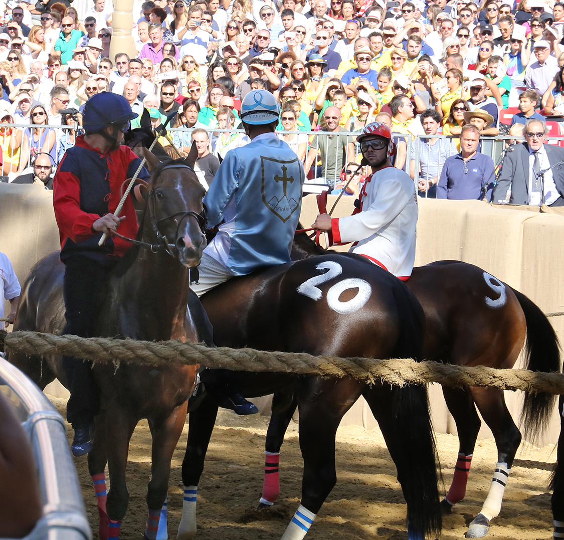 Palio2016_015.jpg