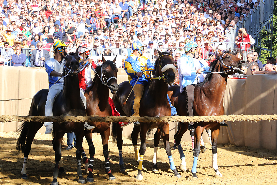 Palio2016_022.jpg
