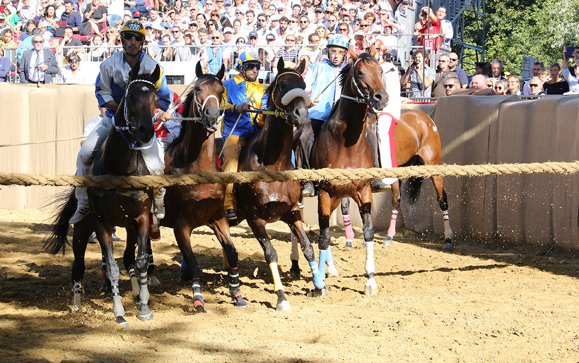 Palio2016_023.jpg