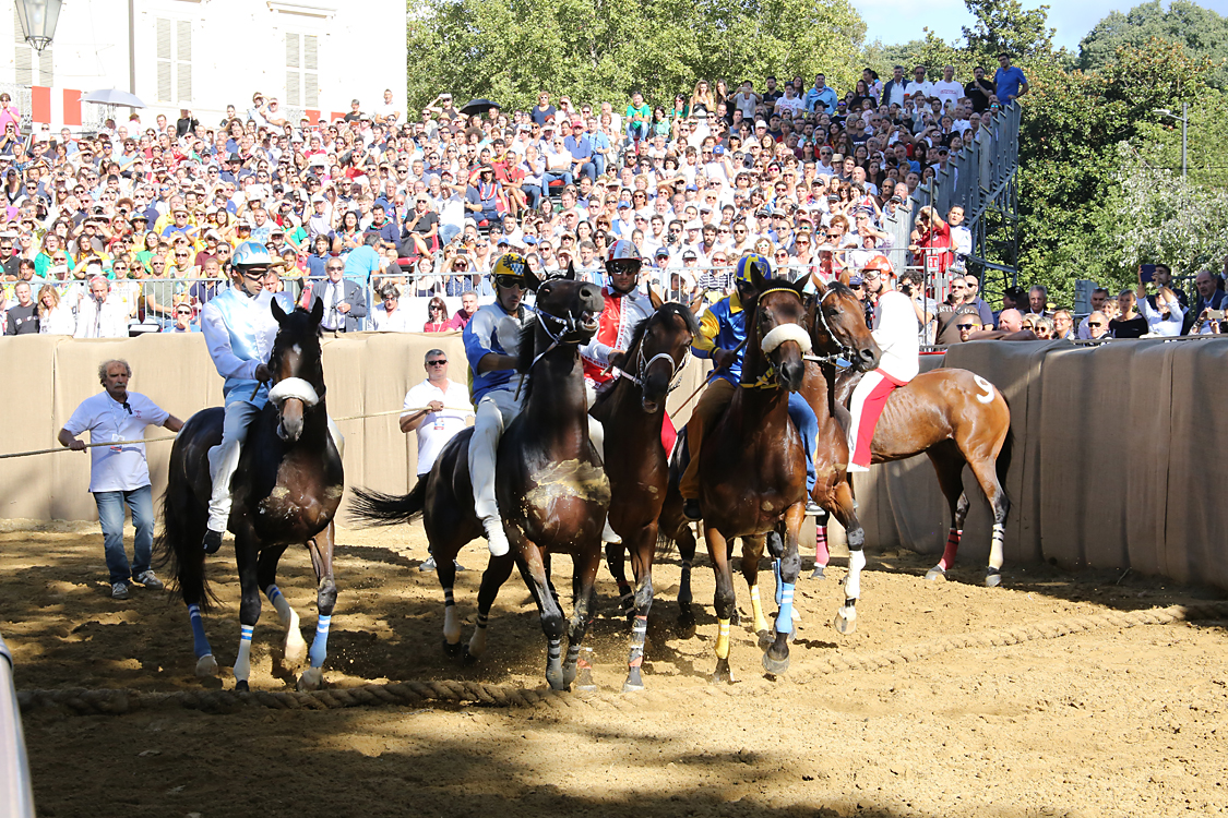 Palio2016_024.jpg
